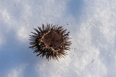 Similar image 21185981