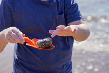 Similar image 21191123