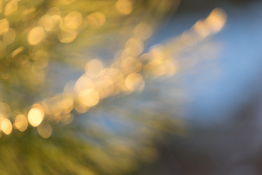 Similar image 21185990