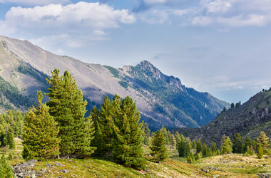 Similar image 21198640