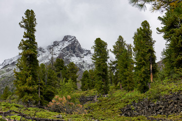 Similar image 21198641