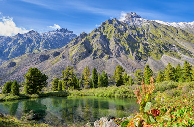 Similar image 21198646