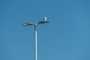 Similar image 21186001