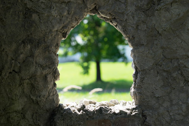 Similar image 21186003