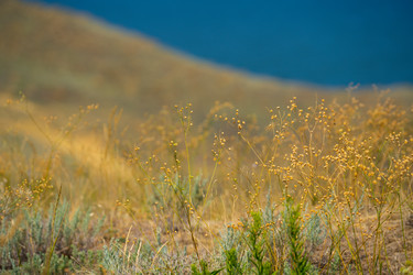 Similar image 21189353