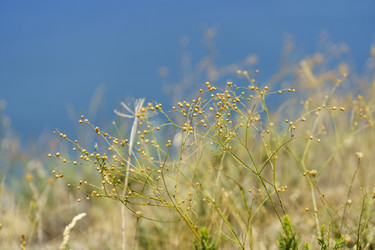 Similar image 21189355