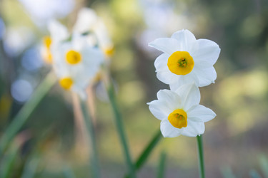 Similar image 21189400