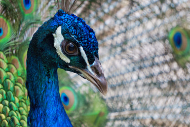 Similar image 21189404