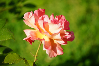 Similar image 21186041