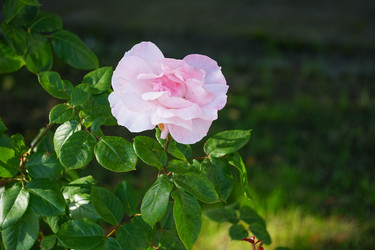 Similar image 21186048