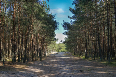 Similar image 21186056