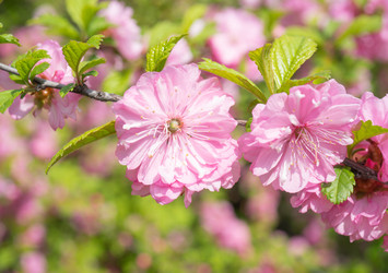 Similar image 21186075