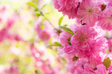 Similar image 21186076