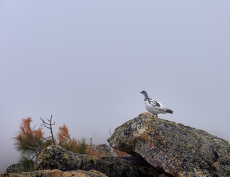 Similar image 21198651