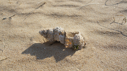 Similar image 21186109