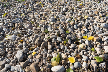 Similar image 21186524