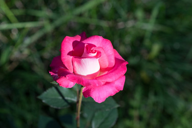 Similar image 21186529