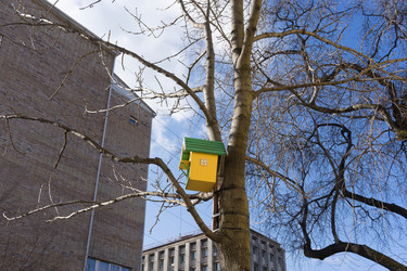 Similar image 21186536