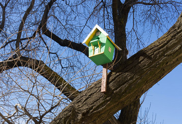 Similar image 21186542