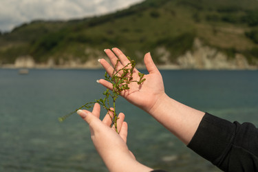 Similar image 21189431