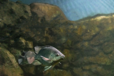 Similar image 21189449