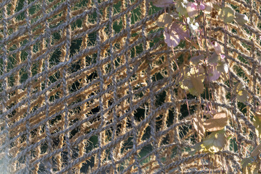 Similar image 21191128