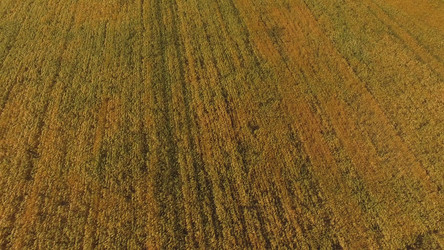 Similar image 21189464