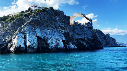 Similar image 21189466