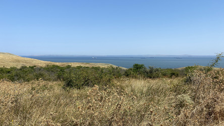 Similar image 21189474