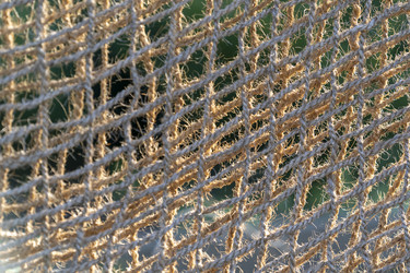 Similar image 21186126