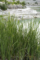 Similar image 21186137