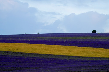 Similar image 21186143