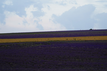 Similar image 21186147