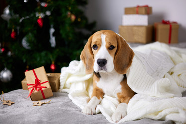 Similar image 21199270