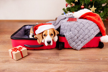 Similar image 21188115