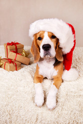 Similar image 21187321