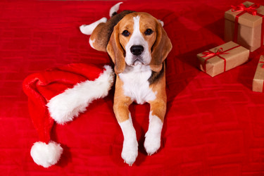 Similar image 21187323