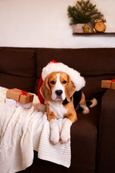 Similar image 21189938