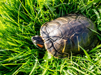 Similar image 21189486