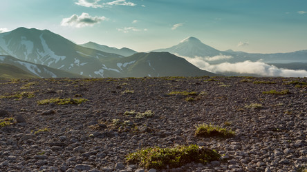 Similar image 21189499