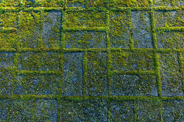 Similar image 21189513