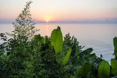 Similar image 21196893