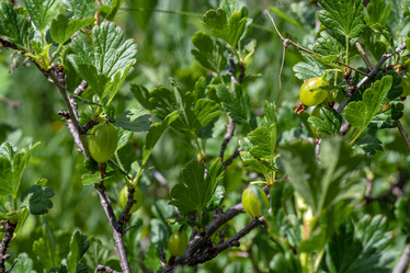 Similar image 21196904