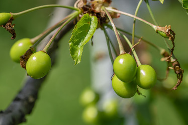 Similar image 21196906