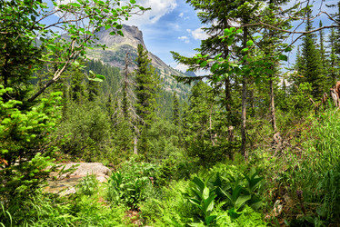 Similar image 21192586