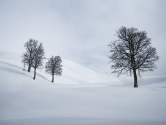 Similar image 21190048