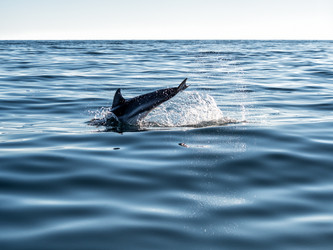 Similar image 21190063