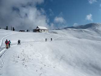 Similar image 21190064