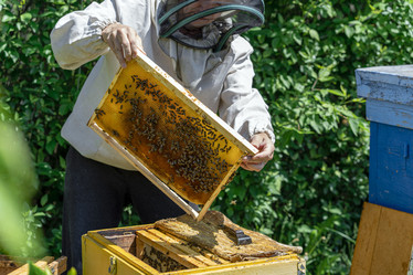 Similar image 21196911