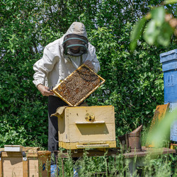 Similar image 21196913